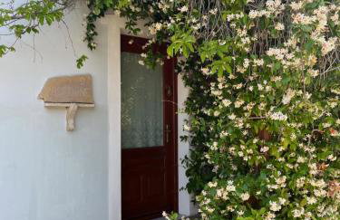 Pantheon Apartments & Studios - Photo 150