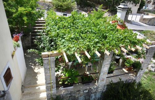 Apartments Boro - Photo 59