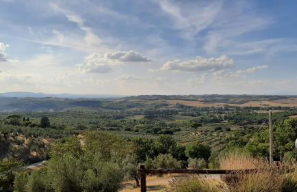 Il Corbezzolo - Foto 17