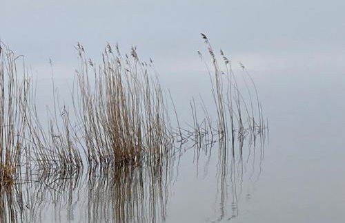 Feriendomizil Wohltat - Foto 33