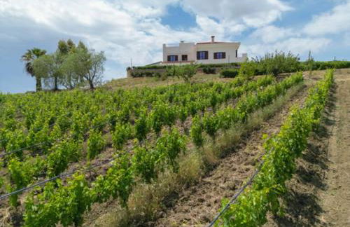 Tenute Nynfà - Foto 1