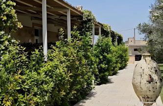 Tenuta Cesarina - Foto 12