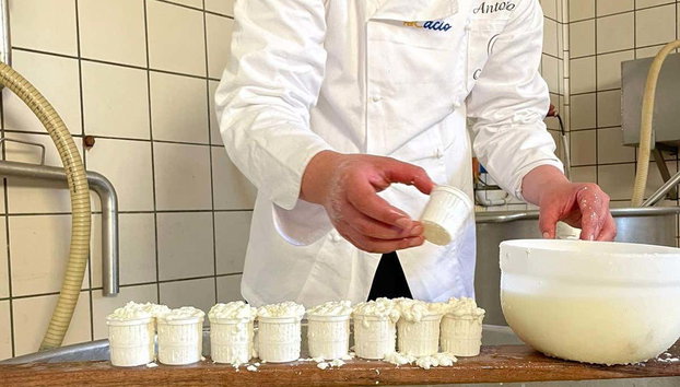 Atelier de préparation de mozzarella à Vico Equense - Photo 5, Présure utilisée pour la fabrication de la mozzarella