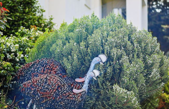 StayAU Expansive 7BR Villa Warrandyte - Foto 8