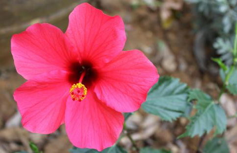Spiti Prifti Apartments - Photo 138