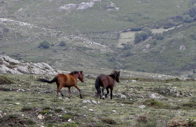 Casa do Desassossego - Foto 24