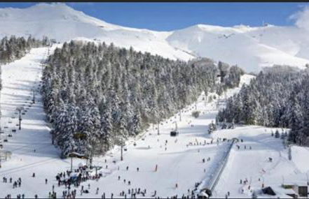 Gite le petit Ely - Photo 10