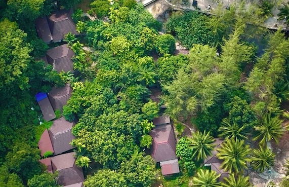 Koh Rong Hill Beach Resort - Foto 51