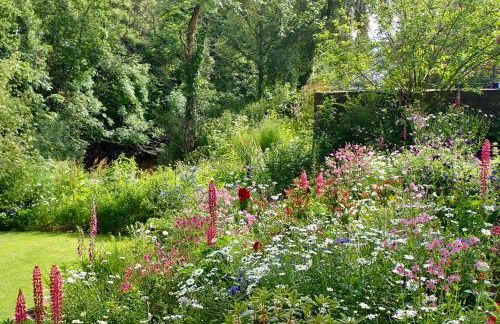 Brecon Boutique Breaks Wild Land - Foto 8