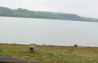 Le Chalet de la Femme du Pêcheur - Foto 73