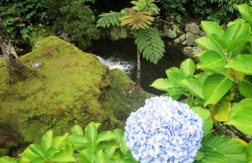 Village peacefull house - Photo 42