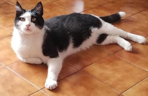 A casa di Gigi - Foto 26