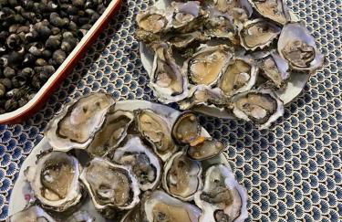 Petite maison dans la manche - Foto 25