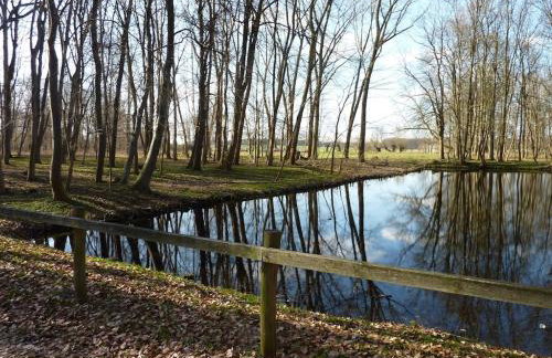 Müritzbrise 3 - Foto 18