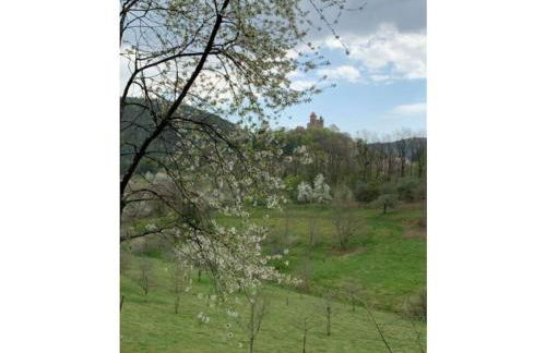 Haus am Kirchberg in Vita Garden - Foto 20