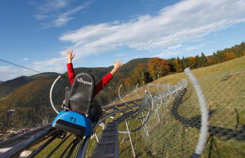 Design-Ferienhaus "auf der Schanz" mit privater Sauna - Todtnau-Muggenbrunn, Feldberg im Schwarzwald - Foto 23