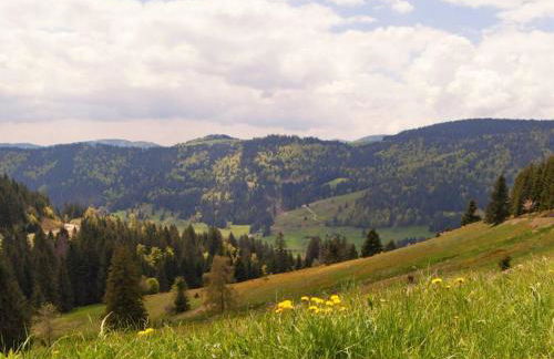 Comfortable Holiday Home in a Beautiful Location - Foto 103