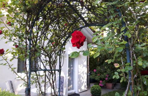 Villa Maja - Foto 11