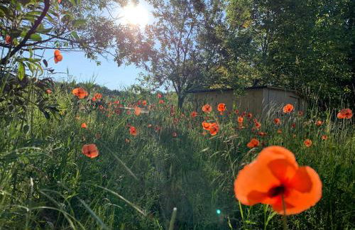 Haus 8 am Grimnitzsee mit Sauna - Photo 13