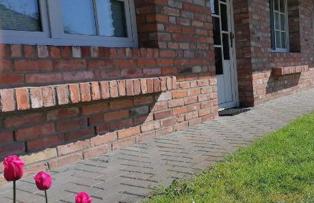 Boddenhus auf Rügen - Ferienwohnungen und Pension - Foto 16