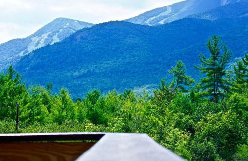 Lookout Mountain Chalet - Foto 66