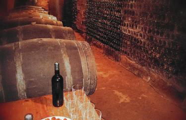 Areta Etxea - Photo 22