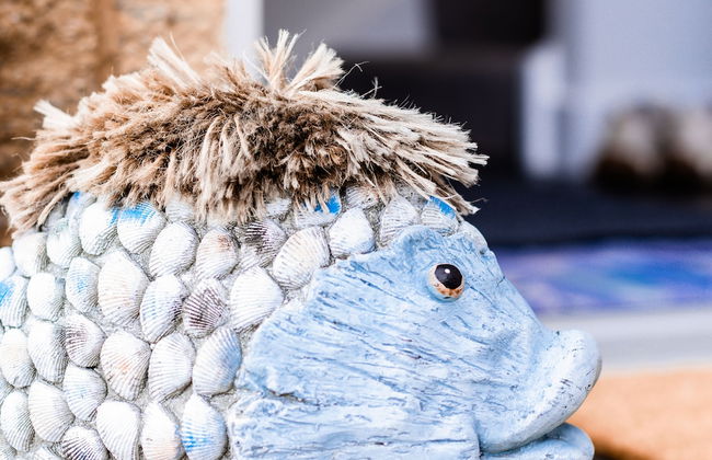 Jules By The Sea Anstruther - Foto 25