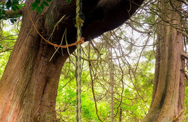 Old Kilmun House - Foto 74