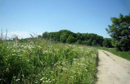 Steinbeck in the Thorstorf estate barn - Foto 25