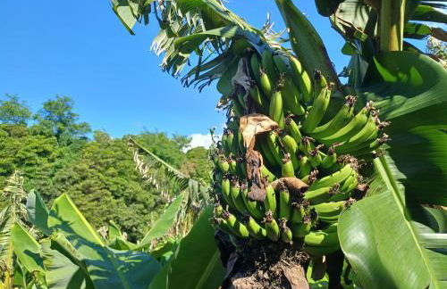 Canada da Ribeira - Photo 22