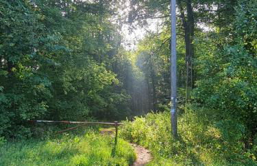 Ferienhaus Valle Verde in Kall-Steinfeld - Foto 34