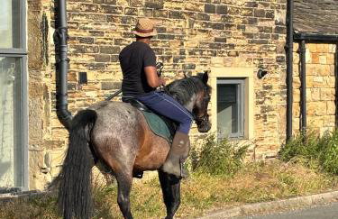 The Barn - Batley West Yorkshire - horse stays - Foto 29