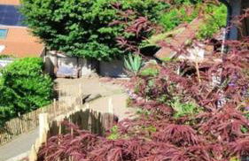 Villa sous le Tilleul - Photo 42