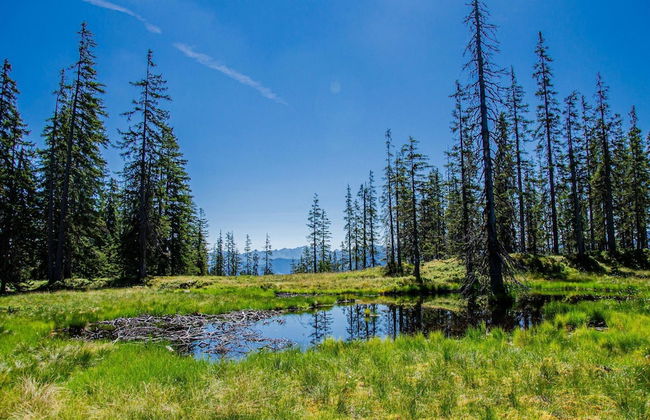 Apartment in Filzmoos Near Ski Amade - Photo 13