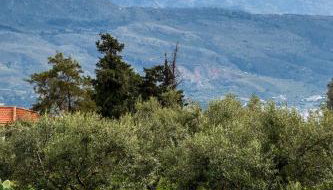 Emma Hills Villa - Foto 4