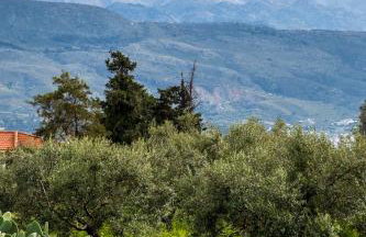 Emma Hills Villa - Foto 4