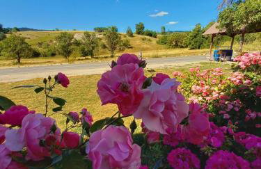 House Veljko - Foto 9