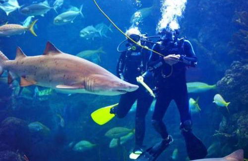 The Beach on Longboat Key - Foto 42