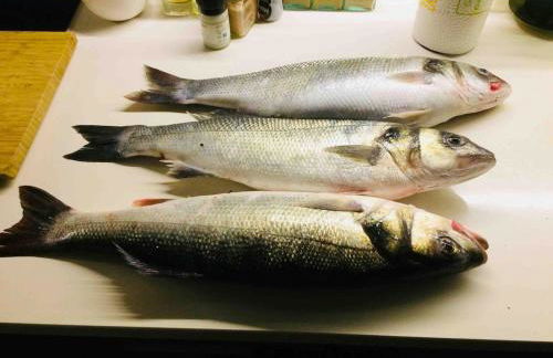 Beachliving Esmoriz - Foto 52