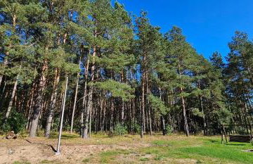 Leśna Przystań Bory Tucholskie - Foto 29