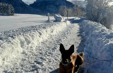 PeThe`s No 1 - Foto 38