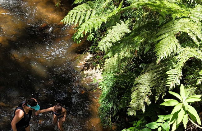 Clareira Cabanas - Photo 28