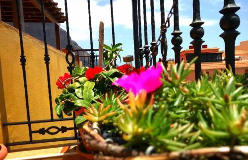 Apartamentos San Jose - Foto 44