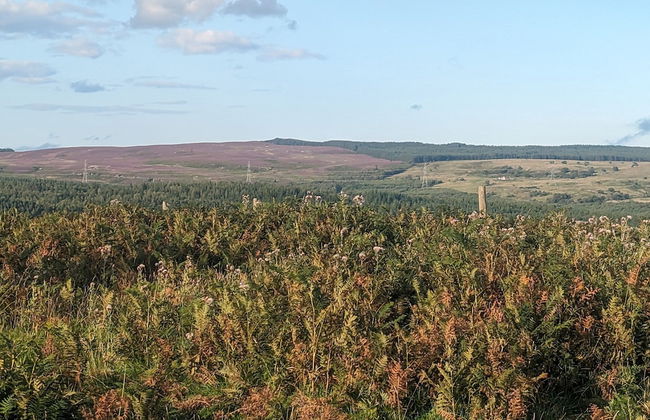 Stunning 1-bed Apartment in Rothbury, Morpeth - Foto 10