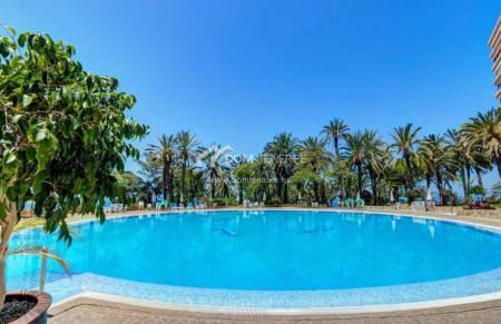 marazul del sur - Foto 34