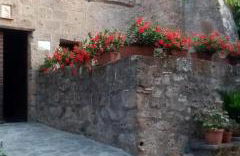 Il Vento e la Ginestra - Foto 51