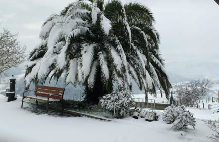 Endaneta Berri - Photo 29