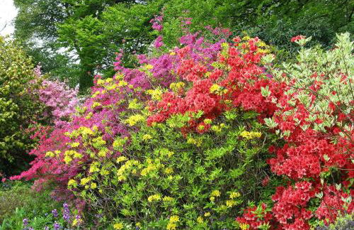 Isolda's - Ukc3905 - Photo 13