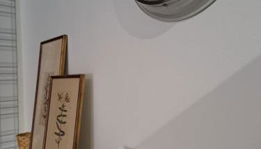 Musa Paradisiaca 5 - Foto 4