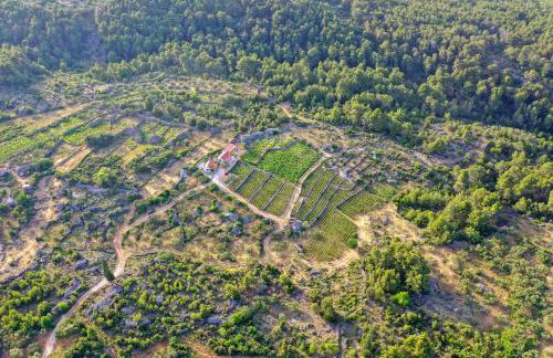 Holiday house with a parking space Pitve, Hvar - 17397 - Photo 3